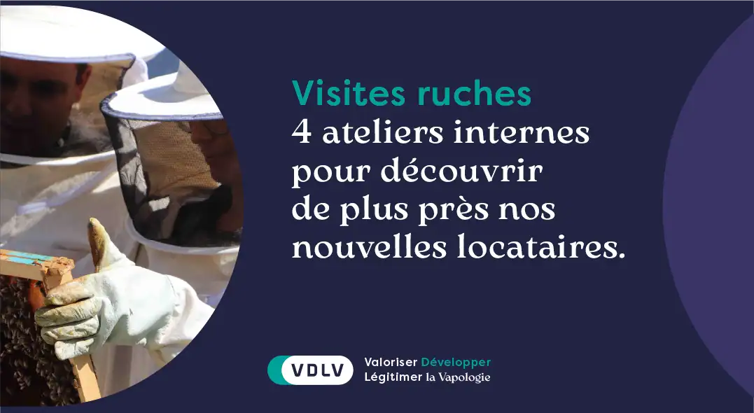 4 ateliers internes pour découvrir les abeilles